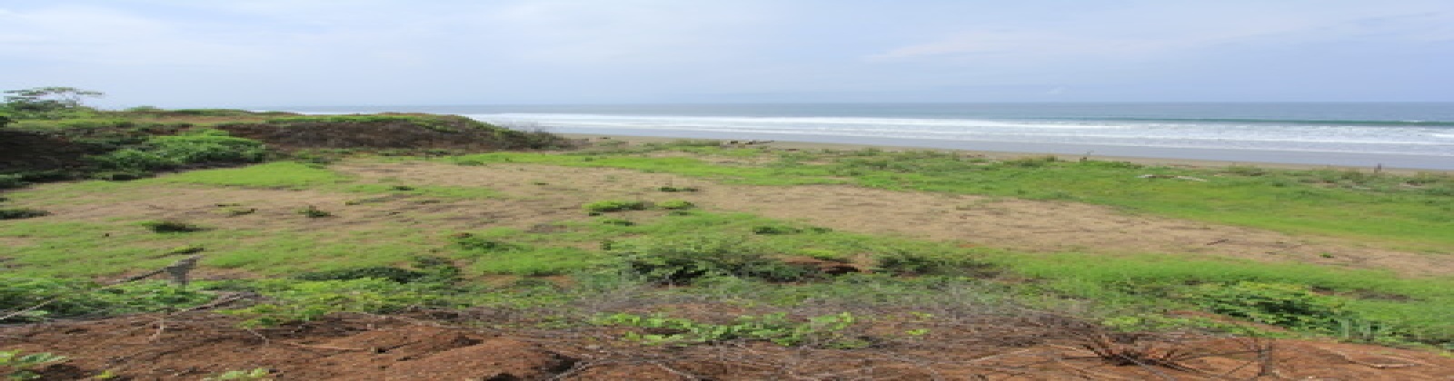 Pedasi, 2 Bedrooms Bedrooms, 0 ,0,Land,For Sale,0