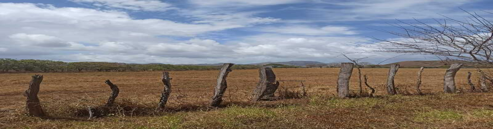 Panama (Various), 2 Bedrooms Bedrooms, 0 ,0,Land,For Sale,0